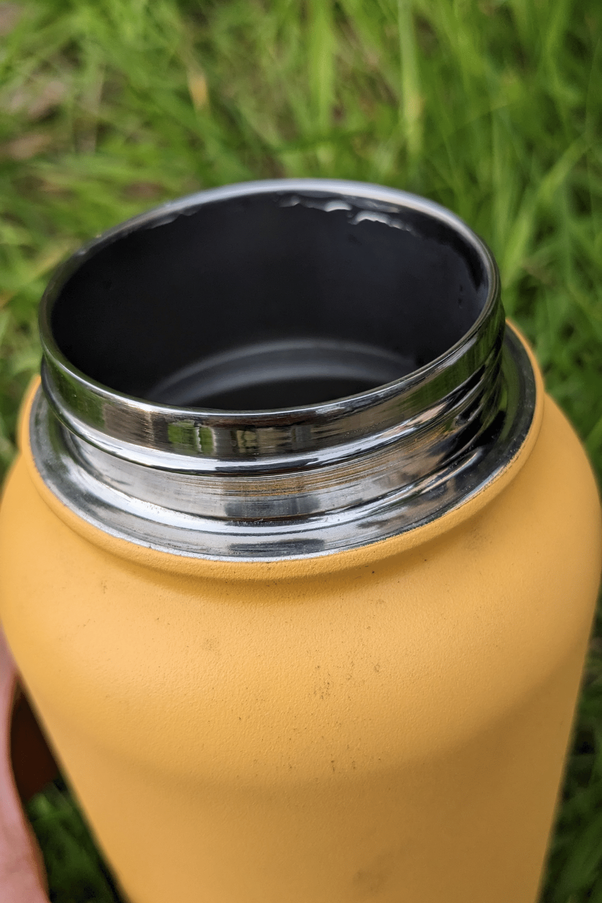 Wild Roots Siesta Snack Bottle 900ml Vacuum Insulated