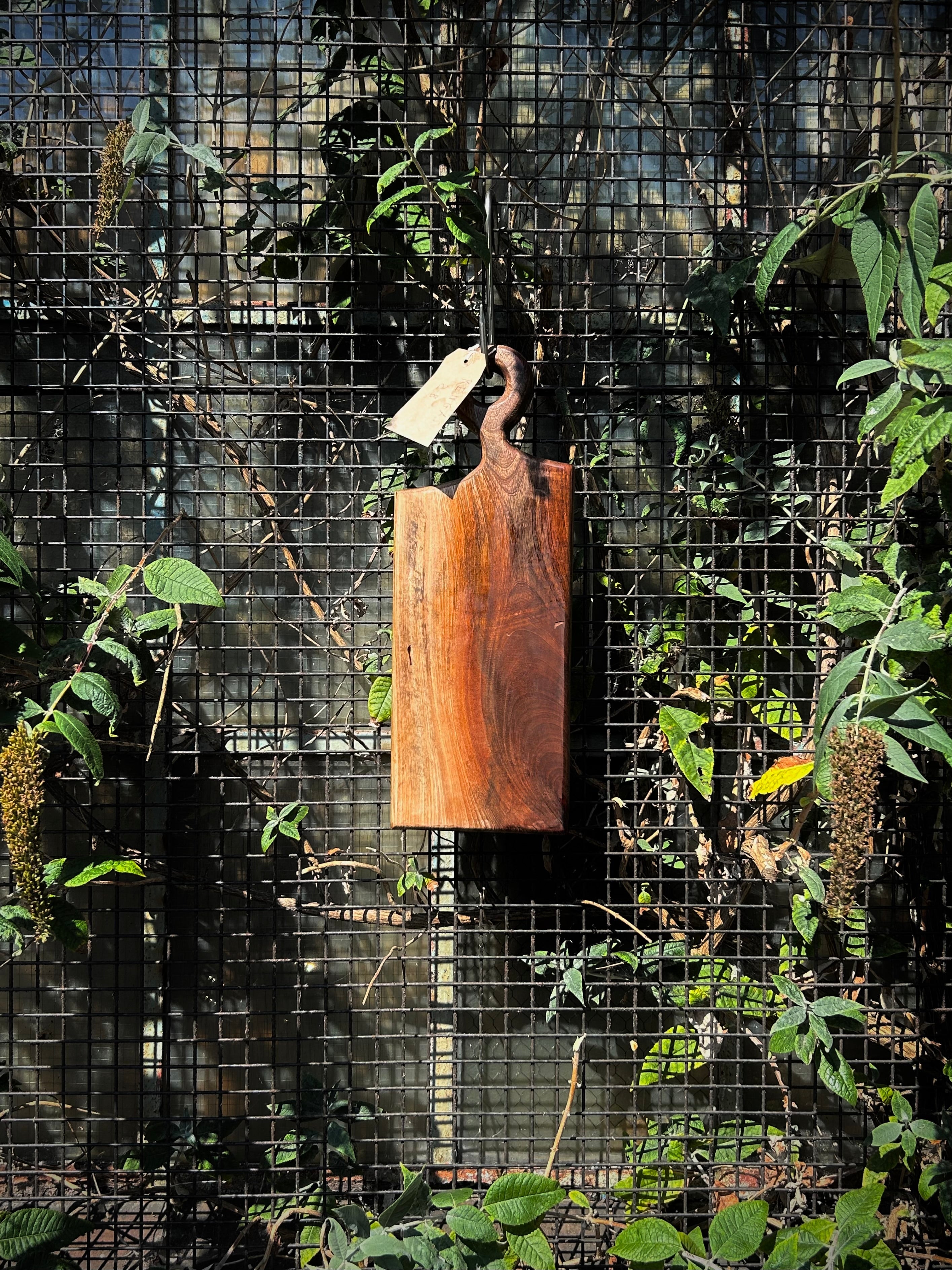 Wild Roots Rengas Small Charcuterie Board Collection