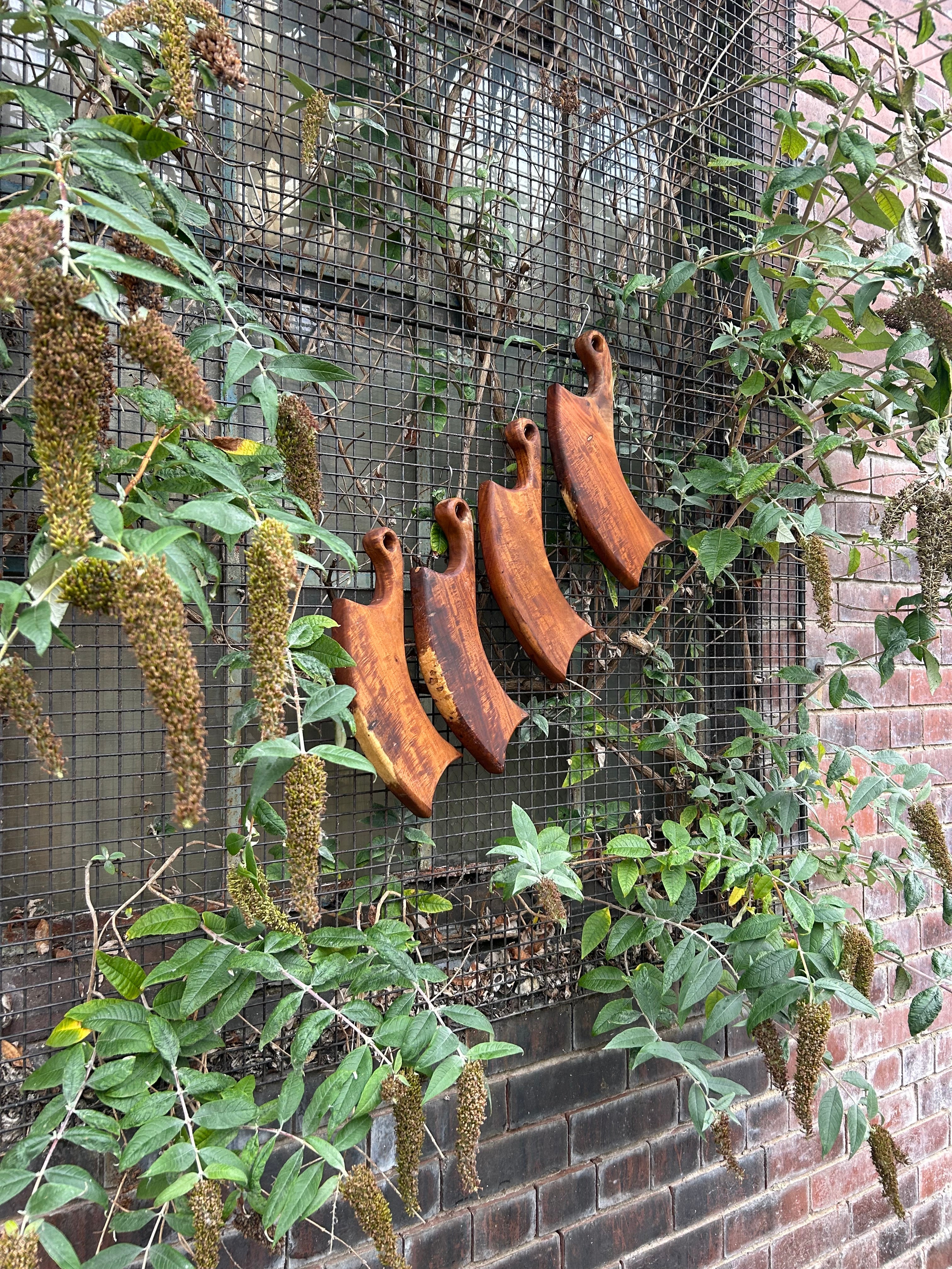 Wild Roots Mango "Sickle" Charcuterie Boards